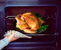 Grilled chicken Royalty Free Stock Photo