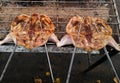 Grilled chicken,barbeque chicken,BBQ chicken Royalty Free Stock Photo