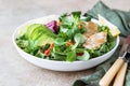 Grilled chicken breast, avocado, apple and bell pepper salad with salad leaves mix and olive oil and lemon dressing Royalty Free Stock Photo