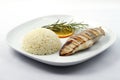 Grilled chicken breast with boiled rice Royalty Free Stock Photo