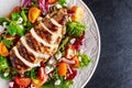 Grilled Chicken Breast fillet with fresh tomatoes vegetables salad. concept healthy food. Royalty Free Stock Photo