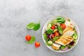 Grilled chicken breast, fillet and fresh vegetable salad of lettuce, arugula, spinach, cucumber and tomato. Healthy lunch menu. Di Royalty Free Stock Photo