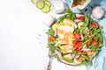 Grilled chicken breast fillet with vegetable salad Royalty Free Stock Photo