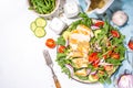 Grilled chicken breast fillet with vegetable salad Royalty Free Stock Photo