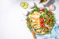 Grilled chicken breast fillet with vegetable salad Royalty Free Stock Photo