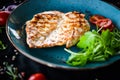 Grilled chicken breast with roasted vegetables Royalty Free Stock Photo