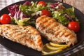 Grilled chicken breast with salad of chicory, tomatoes, cabbage Royalty Free Stock Photo
