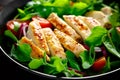 Grilled chicken breast and salad. Fresh vegetable salad with tomato, arugula, spinach and grilled chicken meat in bowl Royalty Free Stock Photo