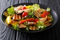 Grilled chicken breast and summer vegetables close-up on a plate Royalty Free Stock Photo