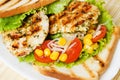 Grilled chicken breasts Royalty Free Stock Photo