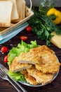 Grilled chicken breasts with cheese. Thanksgiving Turkey dinner Royalty Free Stock Photo