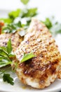 Grilled chicken brest fillet Royalty Free Stock Photo