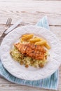 Grilled chicken, cabbage salad with nuts and chips Royalty Free Stock Photo