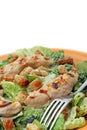 Grilled Chicken Caesar Salad