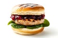 Grilled Chicken Cranberry Sauce Sandwich on a Bun Royalty Free Stock Photo