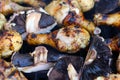 Grilled chicken drums with mushrooms. BBQ background. Summer barbeque.