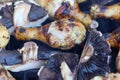 Grilled chicken drums with mushrooms. BBQ background. Summer barbeque