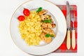 Grilled Chicken Fillet with Pasta Bows Royalty Free Stock Photo