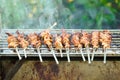 Grilled chicken innards marinated with spices skewer on the iron grill Royalty Free Stock Photo