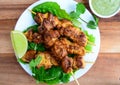 Grilled chicken kebabs Royalty Free Stock Photo