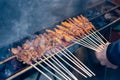Grilled Chicken and lamb satay