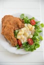 Grilled chicken leg with salad Royalty Free Stock Photo