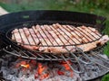 Grilled chicken legs on the flaming barbeque grill Royalty Free Stock Photo