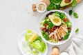 Grilled chicken meat and fresh vegetable salad of tomato, avocado, lettuce and spinach. Healthy and detox food concept Royalty Free Stock Photo