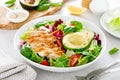 Grilled chicken meat and fresh vegetable salad of tomato, avocado, lettuce and spinach. Healthy and detox food concept. Ketogenic Royalty Free Stock Photo