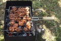 Grilled chicken meat roasting on a homemade black grill. Picnic outdoor horizontal photography