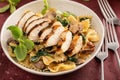 Grilled chicken with mushroom and spinach pasta Royalty Free Stock Photo