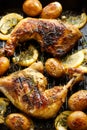 Grilled chicken with rosemary and lemon Royalty Free Stock Photo