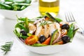 Grilled Chicken salad Royalty Free Stock Photo