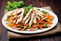 grilled chicken salad with carrot strips and radish slices