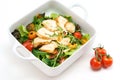 Grilled chicken salad with lettuce and tomato Royalty Free Stock Photo