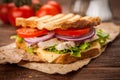 Grilled chicken sandwich Royalty Free Stock Photo