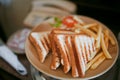 Grilled chicken sandwiches Royalty Free Stock Photo
