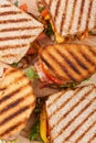 Grilled chicken sandwiches Royalty Free Stock Photo