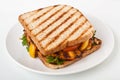 Grilled chicken sandwiches on a plate Royalty Free Stock Photo