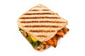 Grilled chicken sandwiches on a plate Royalty Free Stock Photo