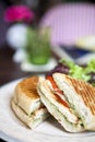 Grilled chicken sandwiches on white plate Royalty Free Stock Photo