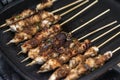 Grilled chicken skewers or sate or satay on a pan