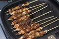 Grilled chicken skewers or sate or satay on a pan