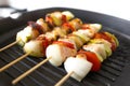 Grilled chicken skewers Royalty Free Stock Photo