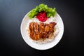 grilled chicken with teriyaki sauce on topped rice Royalty Free Stock Photo