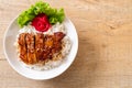 grilled chicken with teriyaki sauce on topped rice Royalty Free Stock Photo