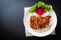 grilled chicken with teriyaki sauce on topped rice Royalty Free Stock Photo