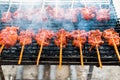 Grilled chicken Royalty Free Stock Photo