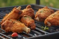 Grilled chicken thighs and vegetables on a grill pan close-up. horizontal top view. Royalty Free Stock Photo