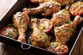 Grilled chicken and tomatoes with basil pesto Royalty Free Stock Photo